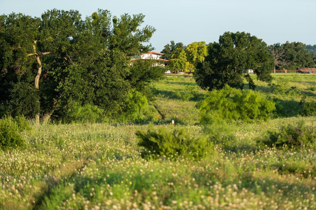 Wildcatter Ranch And Resort Graham Exteriér fotografie