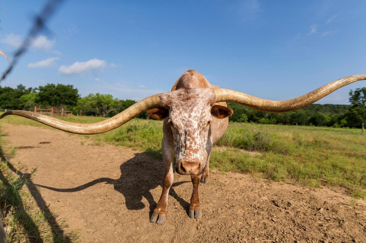 Wildcatter Ranch And Resort Graham Exteriér fotografie