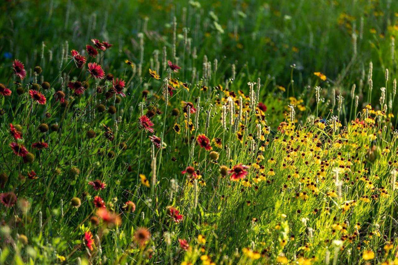 Wildcatter Ranch And Resort Graham Exteriér fotografie